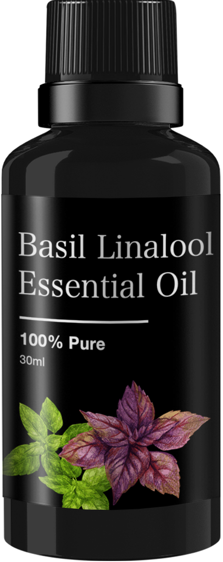 Basil Linalool Essential Oil